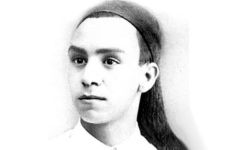 جائزة أبو القاسم الشابي للرواية العربية تعلن قائمتها القصيرة